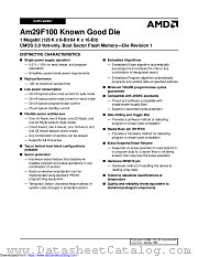 AM29F100 datasheet pdf Advanced Micro Devices