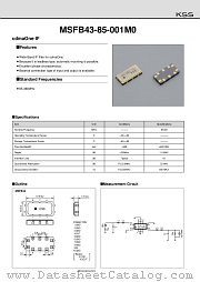 MSFB43-85-001M0 datasheet pdf American KSS