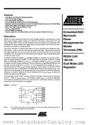 RE024 datasheet pdf Atmel