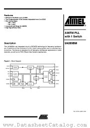 U4289BM datasheet pdf Atmel