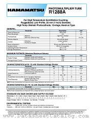 R1288A datasheet pdf Hamamatsu Corporation