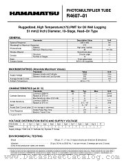 R4607-01 datasheet pdf Hamamatsu Corporation