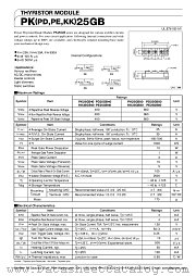 PE25GB40 datasheet pdf SanRex