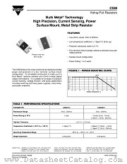 CSM datasheet pdf Vishay