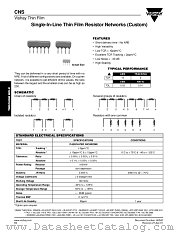 CNS (CUSTOM) datasheet pdf Vishay